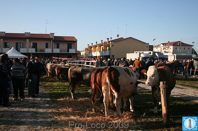 In prà della Antica Fiera di Arsego (12).JPG